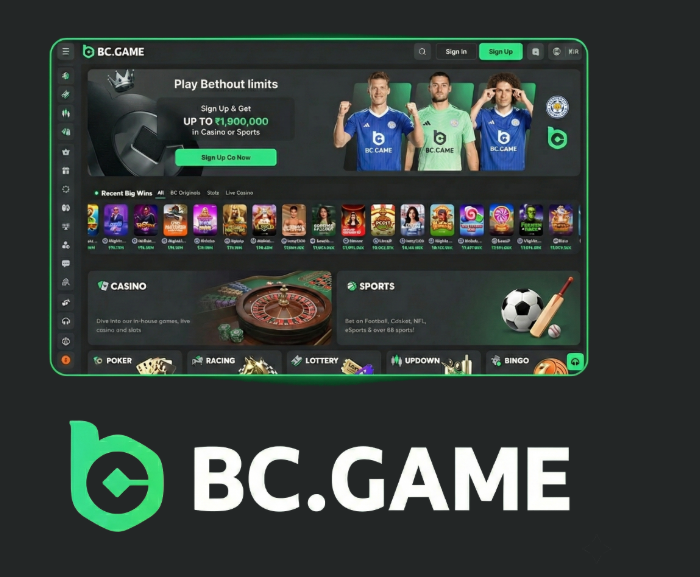 Essential Guide to BC.Game Login
